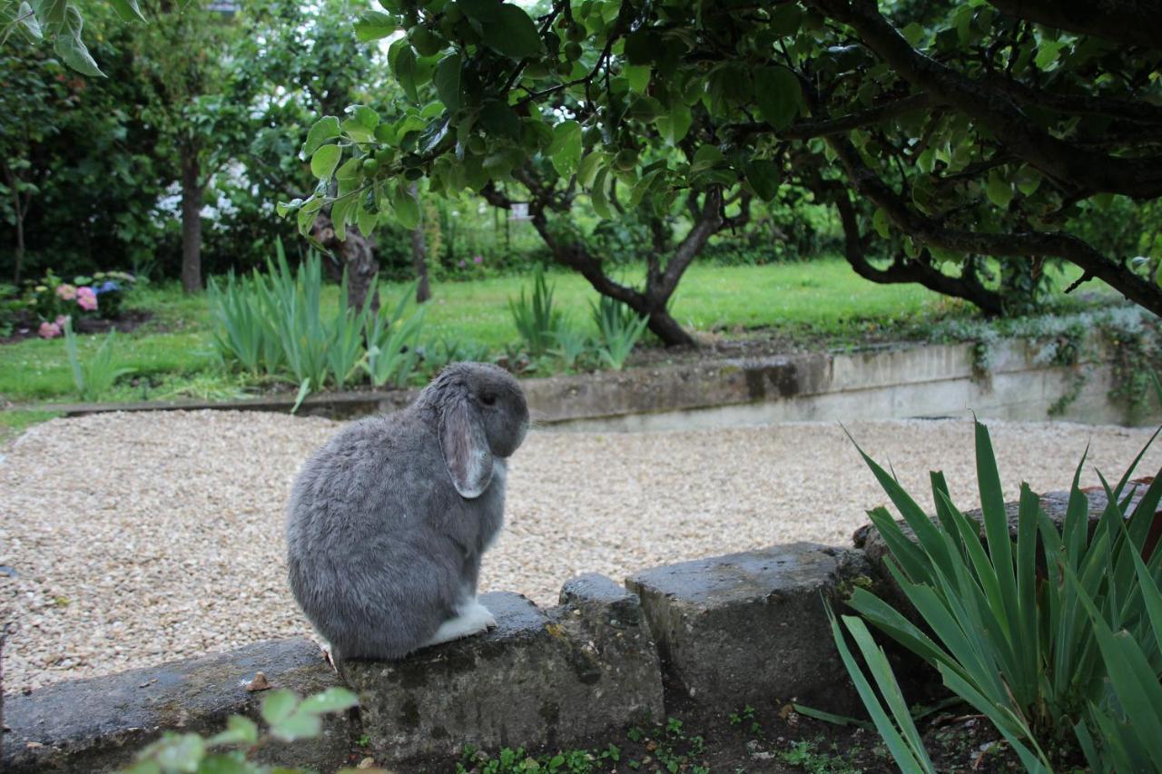 Belle Vue Terrasse Bed and Breakfast Giverny Esterno foto